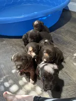 processed/7b6b03e7-7147-47c4-9751-aecfd1fcfc3c/listing/8ac0f76d-3d93-4f87-9b58-e9d40b76e9f9/a45917cf-99cb-46a6-a3b4-46ef7ef351e1