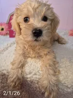 processed/7b6b961e-3f10-4ba6-be03-8f31bf478afd/listing/287365fb-01f0-4dd4-8169-72d0c76a9f25/132bc65c-3278-43e6-8902-9c809844d837