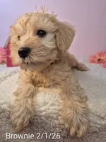 processed/7b6b961e-3f10-4ba6-be03-8f31bf478afd/listing/287365fb-01f0-4dd4-8169-72d0c76a9f25/5c106587-35d2-4997-ad1a-358e65618503