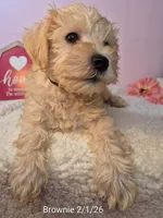 processed/7b6b961e-3f10-4ba6-be03-8f31bf478afd/listing/287365fb-01f0-4dd4-8169-72d0c76a9f25/8b1e43bd-c9e6-4f8a-9b08-e97ec1439651