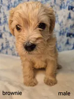 processed/7b6b961e-3f10-4ba6-be03-8f31bf478afd/listing/287365fb-01f0-4dd4-8169-72d0c76a9f25/c2033d03-555a-4ce3-bf6b-a98addfa3ca5