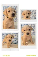 processed/7b6b961e-3f10-4ba6-be03-8f31bf478afd/listing/3b5d895a-4136-48a0-bdf3-d4989e4feafe/2fdcaf4d-8f9f-450e-af52-d8ab76eb0d09