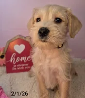 processed/7b6b961e-3f10-4ba6-be03-8f31bf478afd/listing/3b5d895a-4136-48a0-bdf3-d4989e4feafe/a8ebb4be-7aa0-4fda-adf2-5b2760a4af72