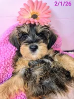 processed/7b6b961e-3f10-4ba6-be03-8f31bf478afd/listing/50b8e163-a859-407d-b621-b41b21603cfe/389668dc-a7c7-4689-8f9a-0a4c7e4e2f79