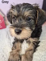 processed/7b6b961e-3f10-4ba6-be03-8f31bf478afd/listing/71bf67f6-cf23-440b-baee-56818537614b/2d3f77cb-f464-4cb4-84e9-0a969b1ccf60