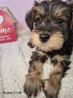 processed/7b6b961e-3f10-4ba6-be03-8f31bf478afd/listing/71bf67f6-cf23-440b-baee-56818537614b/863dfc0a-9ed0-40d1-9382-cd830340b046