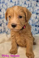 processed/7b6b961e-3f10-4ba6-be03-8f31bf478afd/listing/a522c6c8-354d-4f28-9cc3-c5d6b086eab6/3e19e66a-44cb-4f4b-8f72-e6ca09a70d26