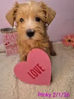 processed/7b6b961e-3f10-4ba6-be03-8f31bf478afd/listing/a522c6c8-354d-4f28-9cc3-c5d6b086eab6/4fa8576d-3aad-4614-9517-64148d23309d