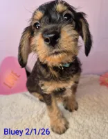 processed/7b6b961e-3f10-4ba6-be03-8f31bf478afd/listing/cf61456d-6933-4a4d-8e4b-10611f92b702/1758e821-744c-4edc-8a27-63d9715d6bc0