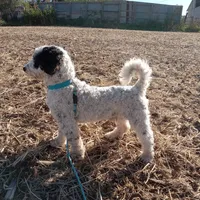 processed/7b6f2b70-510a-4354-943d-a4d082ffff21/facility/20e72ae9-c9ae-45f4-83b9-401a7148a23e