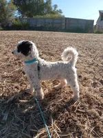 processed/7b6f2b70-510a-4354-943d-a4d082ffff21/facility/20e72ae9-c9ae-45f4-83b9-401a7148a23e