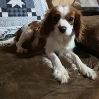 processed/7b6f2b70-510a-4354-943d-a4d082ffff21/facility/4277394e-9f6d-42dc-98a8-1fcef7873f6e