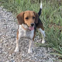 processed/7b6f2b70-510a-4354-943d-a4d082ffff21/facility/fd7a5867-e419-41f2-9845-790dacf8320d