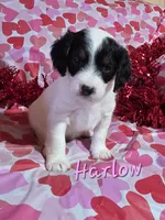 processed/7b6f2b70-510a-4354-943d-a4d082ffff21/listing/0c0ab57c-782f-4cf6-b861-5f227153ecad/ecdbba73-ce24-442a-bb39-5ead88d6b0ac