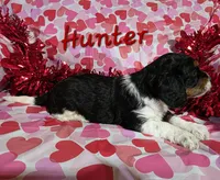 processed/7b6f2b70-510a-4354-943d-a4d082ffff21/listing/6319a704-aff9-425d-8f33-5d03e5da59d5/d2a963f0-1818-42be-b290-587ed6afd18f