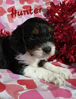 processed/7b6f2b70-510a-4354-943d-a4d082ffff21/listing/6319a704-aff9-425d-8f33-5d03e5da59d5/d82728ad-9dea-46e1-8730-53d8f1bf59e9