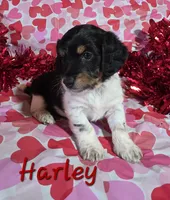 processed/7b6f2b70-510a-4354-943d-a4d082ffff21/listing/6df783a7-b9da-4249-b892-feb0b4e72897/f856f520-adc8-4cfa-869e-2b94c8f8995b