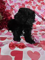 processed/7b6f2b70-510a-4354-943d-a4d082ffff21/listing/7b23e75c-2aaa-48ea-a8fb-019ae19e911a/56d3b7d4-277a-4455-84e4-50623747844f