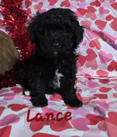 processed/7b6f2b70-510a-4354-943d-a4d082ffff21/listing/7b23e75c-2aaa-48ea-a8fb-019ae19e911a/7ae2459b-ad6b-403f-8401-ac09e444db86