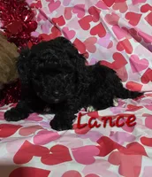 processed/7b6f2b70-510a-4354-943d-a4d082ffff21/listing/7b23e75c-2aaa-48ea-a8fb-019ae19e911a/cdacb874-e6f7-4a4f-84c9-db6ad7294b3a