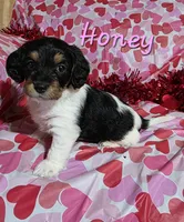 processed/7b6f2b70-510a-4354-943d-a4d082ffff21/listing/cb19df8c-56da-4738-a52a-59d856b9fece/433b5e08-2d15-4e1f-8379-f07de9214754