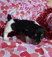 processed/7b6f2b70-510a-4354-943d-a4d082ffff21/listing/cb19df8c-56da-4738-a52a-59d856b9fece/bca127f5-c244-48ad-836b-ad12bba4c411