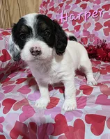 processed/7b6f2b70-510a-4354-943d-a4d082ffff21/listing/d6d8549d-88b6-498c-a90d-5d874e0c7eeb/497bcd59-ab78-4529-a4c8-2a6d834d1b70