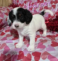 processed/7b6f2b70-510a-4354-943d-a4d082ffff21/listing/d6d8549d-88b6-498c-a90d-5d874e0c7eeb/9e81933b-de94-413c-8d9d-fc7c998fc1bc