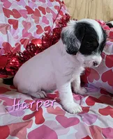 processed/7b6f2b70-510a-4354-943d-a4d082ffff21/listing/d6d8549d-88b6-498c-a90d-5d874e0c7eeb/e53aced5-1910-4d8a-b10b-85fe10591612