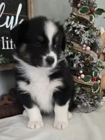 processed/7b7560d4-40cc-43a7-b6a9-bdfe65c92181/listing/1325ee04-d4b8-4746-8f4e-a014de931e7e/3ba6c7e7-4c00-4e66-9ae1-3d78f312a3b4