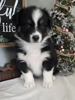 processed/7b7560d4-40cc-43a7-b6a9-bdfe65c92181/listing/1325ee04-d4b8-4746-8f4e-a014de931e7e/a4c1fb8c-d986-4074-a4f8-41f5821c634c