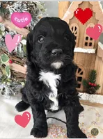 processed/7b7560d4-40cc-43a7-b6a9-bdfe65c92181/listing/b59bcf7e-8d42-45bf-8f6d-514dd992cef5/ad2f715a-8fab-4912-8ce5-7058dfa882c1