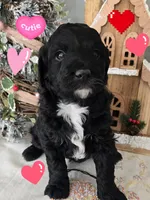 processed/7b7560d4-40cc-43a7-b6a9-bdfe65c92181/listing/b59bcf7e-8d42-45bf-8f6d-514dd992cef5/e0910a9c-a11e-4317-b16b-22fc652badfc