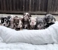 processed/7b75a3f8-c047-4b83-b2a7-8d6915df7ce9/listing/187ef281-45fb-4b8d-9db6-68fa616e1b65/c7828f99-b8d5-4e1c-a561-e94378687211