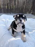 processed/7b75a3f8-c047-4b83-b2a7-8d6915df7ce9/listing/187ef281-45fb-4b8d-9db6-68fa616e1b65/dd4f34fe-902e-4e6d-9f71-a2031edd466a