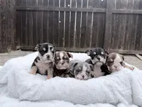 processed/7b75a3f8-c047-4b83-b2a7-8d6915df7ce9/listing/69b17a61-05ad-46cd-b298-ee58ef39dfdc/29c3eb6d-a6db-4395-8ee1-4750863d4335