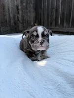 processed/7b75a3f8-c047-4b83-b2a7-8d6915df7ce9/listing/69b17a61-05ad-46cd-b298-ee58ef39dfdc/fd620d39-3462-46e8-8a00-793f0f00cef1