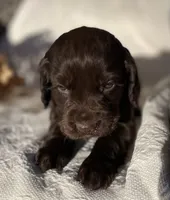 processed/7b7ff548-c872-4676-820b-b9abdcfdfb88/listing/f295d70f-4d14-44dc-b336-53d7a21c8d8d/261f8f5f-17da-4be7-ab36-81bdae3738b4