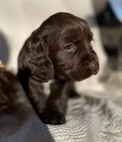 processed/7b7ff548-c872-4676-820b-b9abdcfdfb88/listing/f295d70f-4d14-44dc-b336-53d7a21c8d8d/be661ace-6ef4-4126-933e-180c2a625571