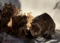 processed/7b7ff548-c872-4676-820b-b9abdcfdfb88/listing/f295d70f-4d14-44dc-b336-53d7a21c8d8d/c3ef53d1-f5c2-4040-92c4-2d52cbb3148f