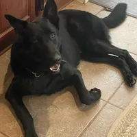 processed/7b8cf89f-d88e-45cf-b46f-e1c2980e467f/facility/048cd9fb-d1cf-42f3-8c30-048bec02c99e