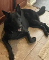 processed/7b8cf89f-d88e-45cf-b46f-e1c2980e467f/facility/048cd9fb-d1cf-42f3-8c30-048bec02c99e