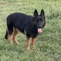 processed/7b8cf89f-d88e-45cf-b46f-e1c2980e467f/facility/12ec7f6a-d1f4-43cd-bb10-d9400caf7579