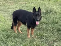 processed/7b8cf89f-d88e-45cf-b46f-e1c2980e467f/facility/12ec7f6a-d1f4-43cd-bb10-d9400caf7579