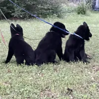 processed/7b8cf89f-d88e-45cf-b46f-e1c2980e467f/facility/290deaea-387f-4796-b94d-5ede8b5b302f