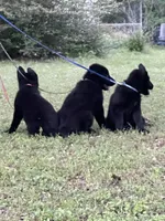 processed/7b8cf89f-d88e-45cf-b46f-e1c2980e467f/facility/290deaea-387f-4796-b94d-5ede8b5b302f