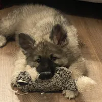 processed/7b8cf89f-d88e-45cf-b46f-e1c2980e467f/facility/293ec6ae-f13a-4a15-ad56-86af7c63e004