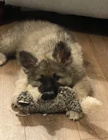 processed/7b8cf89f-d88e-45cf-b46f-e1c2980e467f/facility/293ec6ae-f13a-4a15-ad56-86af7c63e004