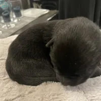 processed/7b8cf89f-d88e-45cf-b46f-e1c2980e467f/facility/4800d8fb-735d-4a0f-a354-03f6e9b75d76