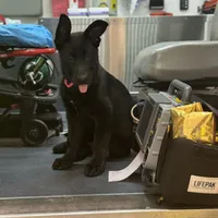 processed/7b8cf89f-d88e-45cf-b46f-e1c2980e467f/facility/83ed00d7-a733-4bbf-9305-881217eaa741